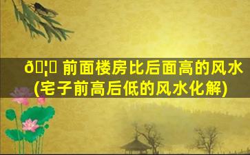 🦅 前面楼房比后面高的风水(宅子前高后低的风水化解)